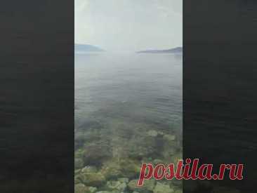 тут рыба есть 👉 #хорватия #море #берег