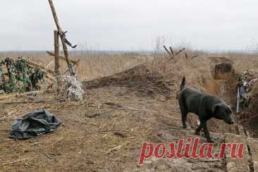 На позициях ВС России близ Днепра нашли останки солдат Красной армии