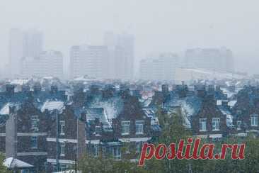 Майский снег в Москве. Фотографии. В столичном регионе 7 мая выпал снег. Как выглядела Москва и область этим утром — в фотогалерее РБК