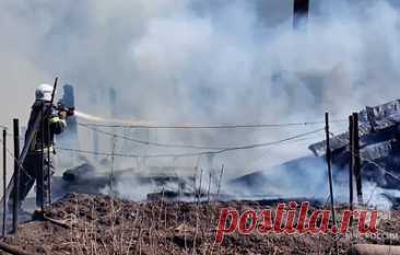 В Забайкальском крае загорелось СНТ. Пожар перешел на лесной массив