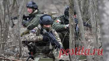 Шойгу: российские военные в СВО храбро сражаются с последователями нацизма