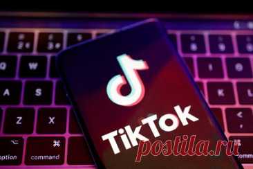 В TikTok заблокировали один из аккаунтов Sputnik
