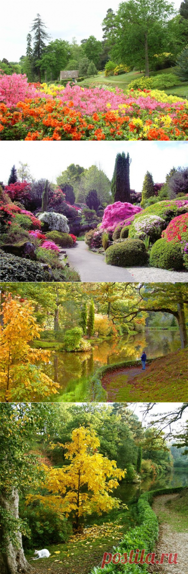 Leonardslee gardens (сад Леонардсли). – Блог.ФАВ (Анатолий Фёдоров), пользователь Анатолий Федоров | Группы Мой Мир