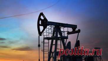 Нефть подорожала на данных о снижении запасов в США