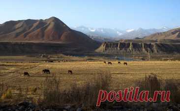 Трое российских туристов пропали в горах Киргизии. Трое туристов из России пропали в горах Аламединского района Чуйской области Киргизии, их ищут.