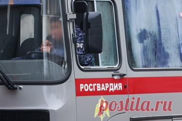 Росгвардейцы обнаружили два схрона ВСУ в Запорожской области