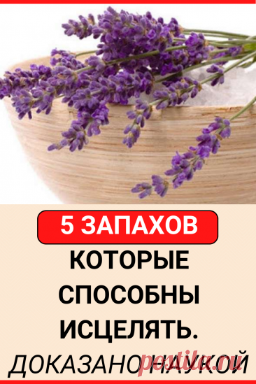 5 запахов, которые способны исцелять. Доказано наукой
#здоровье #запах #женские_секреты #советы #полезные_советы #жизненные_советы