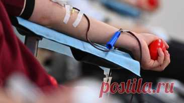 Врач назвала основные противопоказания для донорства крови