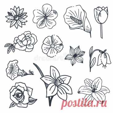 Hand Drawn Flowers And Plants. Vector Illustrations In Sketch Style D6A