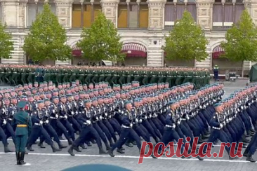Военкор опубликовал видео с десантниками и описал их марш словом «отожгли»