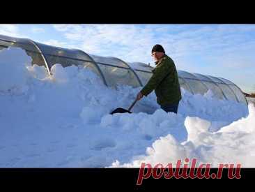 САМАЯ ПРОЧНАЯ ТЕПЛИЦА! Откопали из снега, буду сажать!