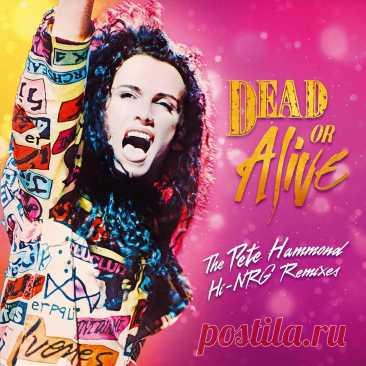 Dead Or Alive - The Pete Hammond Hi-NRG Remixes (2024) 320kbps / FLAC