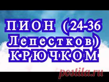 Пион крючком с 24-36 лепестками - Схема по рядам