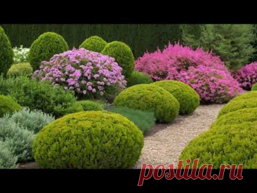 These are all variants of flower arrangements. Квітник, клумба і міксбордер