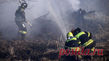 В Приамурье уже вторую неделю тушат крупный пожар