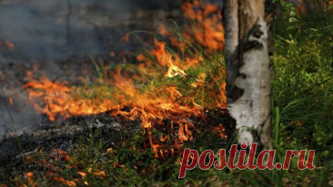В Ростовской области объявили чрезвычайную пожароопасность
