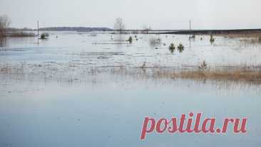 Вода из Тобола внезапно пошла по старому руслу. Губернатор Тюменской области Александр Моор заявил, что река Тобол неожиданно пошла по старому руслу и подтопила дороги. Об этом сообщает РИА Новости. По словам главы региона, дорожные службы и сотрудники МЧС оперативно укрепляют защитные ...