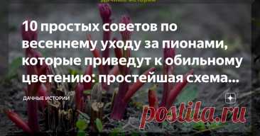 10 простых советов по весеннему уходу за пионами, которые приведут к обильному цветению: простейшая схема по уходу за пионами весной Статья автора «Дачные истории» в Дзене ✍: Добрый день, дорогие друзья, садоводы и огородники! Приветствую вас в нашем сообществе "Дачные истории".