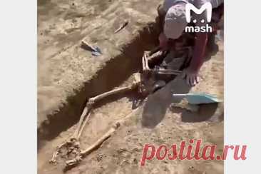 В Дагестане неожиданно раскопали останки древних людей