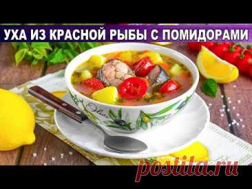 КАК ПРИГОТОВИТЬ УХУ С ПОМИДОРАМИ? Вкусный рыбный суп из красной рыбы с картошкой
