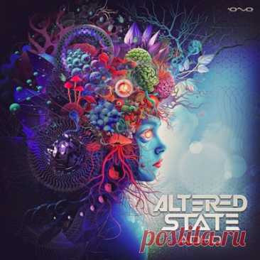 Altered State – Adhd