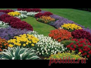 I wish you success in creating your own yard. Зроби сад гарним
