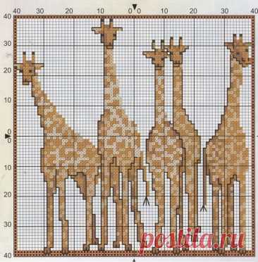 Схемы: жирафы, зебра, слон
#схемыживотные #вышивка_крестом #жаккард