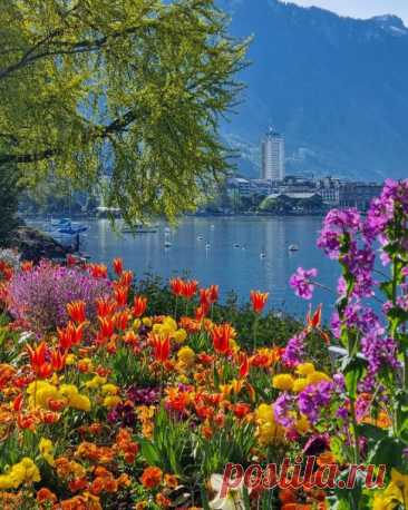 Женевское озеро.

 Монтрё, Швейцария.