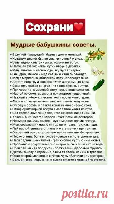 Мудрые Советы От Бабушки❤️