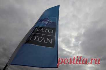В Италии сообщили о готовящемся решении НАТО по Украине