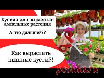 Что обязательно нужно сделать до высадки рассады цветов???