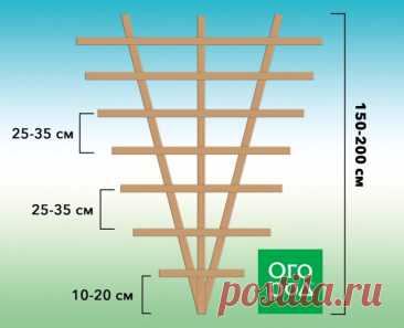 Шпалеры и опоры для клематисов своими руками – идеи и схемы | Малая архитектура (Огород.ru)
