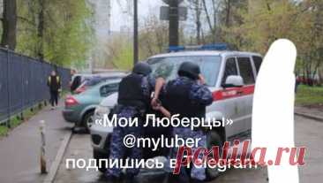 В Люберцах задержали мужчину, проникшего в школу. Сотрудники правоохранительных органов задержали мужчину, который проник в здание лицея N12 в подмосковном городе Люберцы. Об этом сообщается в Telegram-канале &quot;Мои Люберцы&quot;. По словам одной из подписчиц, дочь рассказала ей о ...