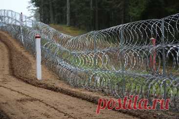 Латвия начала создавать противотанковые рвы на границе с Россией и Белоруссией