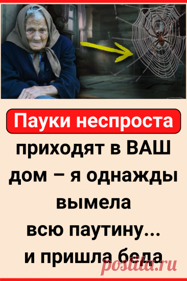 Пауки неспроста приходят в ВАШ дом – я однажды вымела всю паутину... и пришла беда