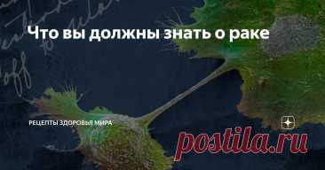 Что вы должны знать о раке Статья автора «Рецепты здоровья мира» в Дзене ✍: Рак заставляет клетки бесконтрольно делиться.