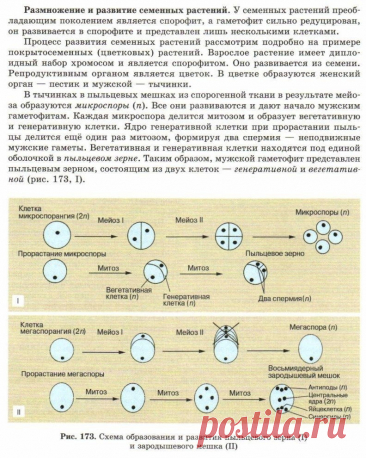 kCreEIFHF-M.jpg (792×990)