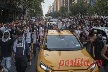Тысячи пропалестинских протестующих попытались сорвать Met Gala