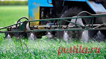 Оказалось, что смесь пестицидов усиливает свое влияние на растения | Bixol.Ru