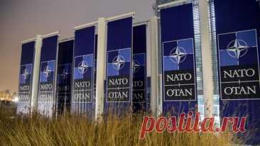 В Госдуме заявили, что боевиков РДК* обучают за деньги НАТО