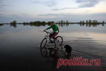 Уровень реки в российском регионе за сутки поднялся больше чем на три метра