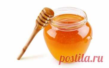 Эффективные методы лечения гастрита мёдом и прополисом.