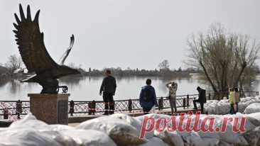 Уровень воды в Тоболе у Кургана за шесть часов вырос на семь сантиметров