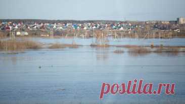 В Кургане в ближайшие дни ожидают пик весеннего половодья