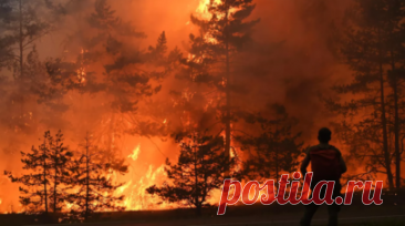 В ХМАО спрогнозировали ситуацию с лесными пожарами в регионе. В Ханты-Мансийском автономном округе ситуация с лесными пожарами ожидается спокойной, заявили в Департаменте недропользования и природных ресурсов региона. Читать далее