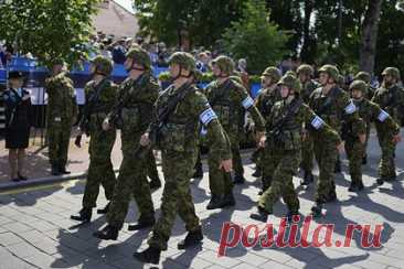 В Эстонии призвали Киев мобилизовать еще два миллиона человек