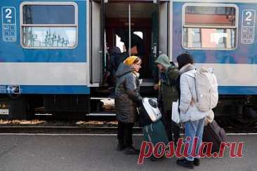 На Украине мужчина дважды вырвался от пограничников для побега в Венгрию