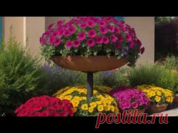 This is one of the most popular flower choices for backyards. Петунії – чудовий вибір для клумб.