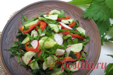Салат с крапивой – 10 вкусных рецептов с молодой крапивы