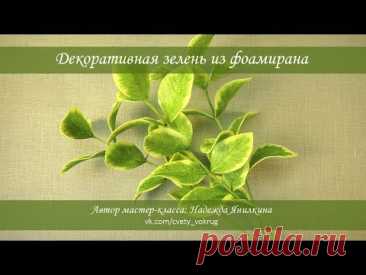 Декоративная зелень из фоамирана мастер-класс / Decorative greens | foam flowers | DIY